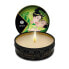 Фото #1 товара Shunga Mini Candle Massage Green Tea