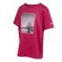 ფოტო #5 პროდუქტის REGATTA Alvarado VIII short sleeve T-shirt