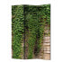 Фото #1 товара Paravent Ivy wall