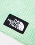 Фото #4 товара The North Face Logo patch cuffed beanie in green tie dye