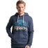 SUPERDRY Code Logo Great Outdoors Graphic hoodie