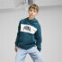 Фото #1 товара PUMA Squad hoodie