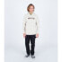 Фото #4 товара HURLEY The Box Hoodie