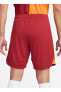 Фото #3 товара Шорты Nike FJ6344-613 GS M NK DF STAD SHORT HM