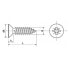 Фото #2 товара EUROMARINE A4 DIN 7982 4.2x25 mm Cross Head Screw