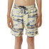 RIP CURL Party Pack Volley Swimming Shorts