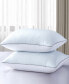 Фото #1 товара Flipable Summer/Winter White Goose Feather 2-Pack Pillow, King