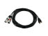 Фото #3 товара Omnitronic 3022522E - 2 x XLR (3-pin) - Male - 2 x RCA - Male - 6 m - Black