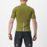 Фото #2 товара CASTELLI Classifica short sleeve jersey