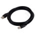 Фото #1 товара IGGUAL IGG318713 2 m USB-A To USB-B Cable