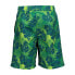 CMP Medium Swimming 31R9074 Shorts