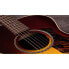 Taylor AD12e-SB