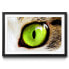 Фото #1 товара Gerahmtes Bild Cats Eye Green II