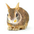 SAFARI LTD Eastern Cottontail Rabbit Baby Figure