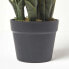 Фото #6 товара Kunstpflanze Sansevieria Trifasciata