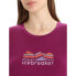 ფოტო #3 პროდუქტის ICEBREAKER Tech Lite II Mountain Geology short sleeve T-shirt