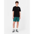 ფოტო #5 პროდუქტის DICKIES Clackamas Box short sleeve T-shirt