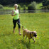 Фото #3 товара Поводок для собак Dingo с тащnistorm и 2 карабинами дл. 170 см - 14698