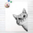Katze Zeichnung Schwarz Weiß