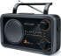 Фото #2 товара Radio Muse M-06 DS