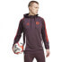 ADIDAS FC Bayern Munich 24/25 hoodie