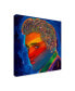 Фото #2 товара Howie Green 'Elvis Rainbow' Canvas Art - 35" x 35"