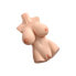 Фото #1 товара Perfect 10 Torso, 44,5 cm