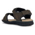 Фото #5 товара GEOX Spherica Ec5 sandals