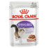 Фото #2 товара ROYAL CANIN Sterilised Chunks In Sauce 85g Wet Cat Food 12 Units