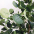 Фото #3 товара Дерево Home ESPRIT полиэстер Деревянный Цемент Эвкалипт 90 x 90 x 180 cm