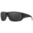Фото #1 товара Очки Wiley X Omega Polarized Sunglasses