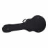 Thomann Jumbo Acoustic Bass Case