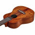 Фото #6 товара Harley Benton Hawaii Koa Concert Ukulele