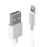 Фото #1 товара Lindy 0.5m USB to Lightning Cable white - 0.5 m - USB A - USB 2.0 - White