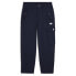 Puma Cargo Pants X Nanamica Mens Blue Casual Athletic Bottoms 53987806