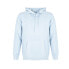 Фото #5 товара PEPE JEANS David hoodie