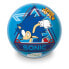 SONIC Beach Ball