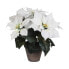 Фото #1 товара Декоративное растение Белый PVC (27 X 35 CM)