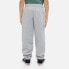 Фото #6 товара DICKIES Youth Mapleton sweat pants