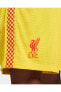 Фото #36 товара Liverpool Fc 2021/22 Maç Üçüncü Nike Dri-fit Adv Erkek Futbol Şortu Dd2774-703