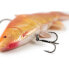 Фото #8 товара FOX RAGE Replicant Jointed Tench Swimbait 140 mm