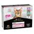 Фото #2 товара PURINA Pro Plan Multi Delicate Fish Turkey 85g Cat Snack 10 Units