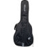 Ritter Bern Super Jumbo Guitar ANT