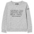 Фото #2 товара REPLAY SB2026.020.22739 sweatshirt