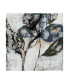 Фото #1 товара Jennifer Goldberger Crackled Stems I Canvas Art - 15" x 20"