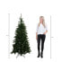 Фото #7 товара Weihnachtsbaum Forrester