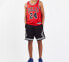 Фото #3 товара Кроссовки Nike Workout Basketball_Vest Nike NBA SW 24 864465-664