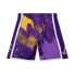 Mens Mitchell & Ness NBA HYPER HOOPS SWINGMAN SHORTS - LA LAKERS 2009