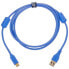 Фото #1 товара UDG Ultimate Cable USB3.0 C-A Blue