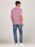 Regular Fit Stripe Wicking Polo